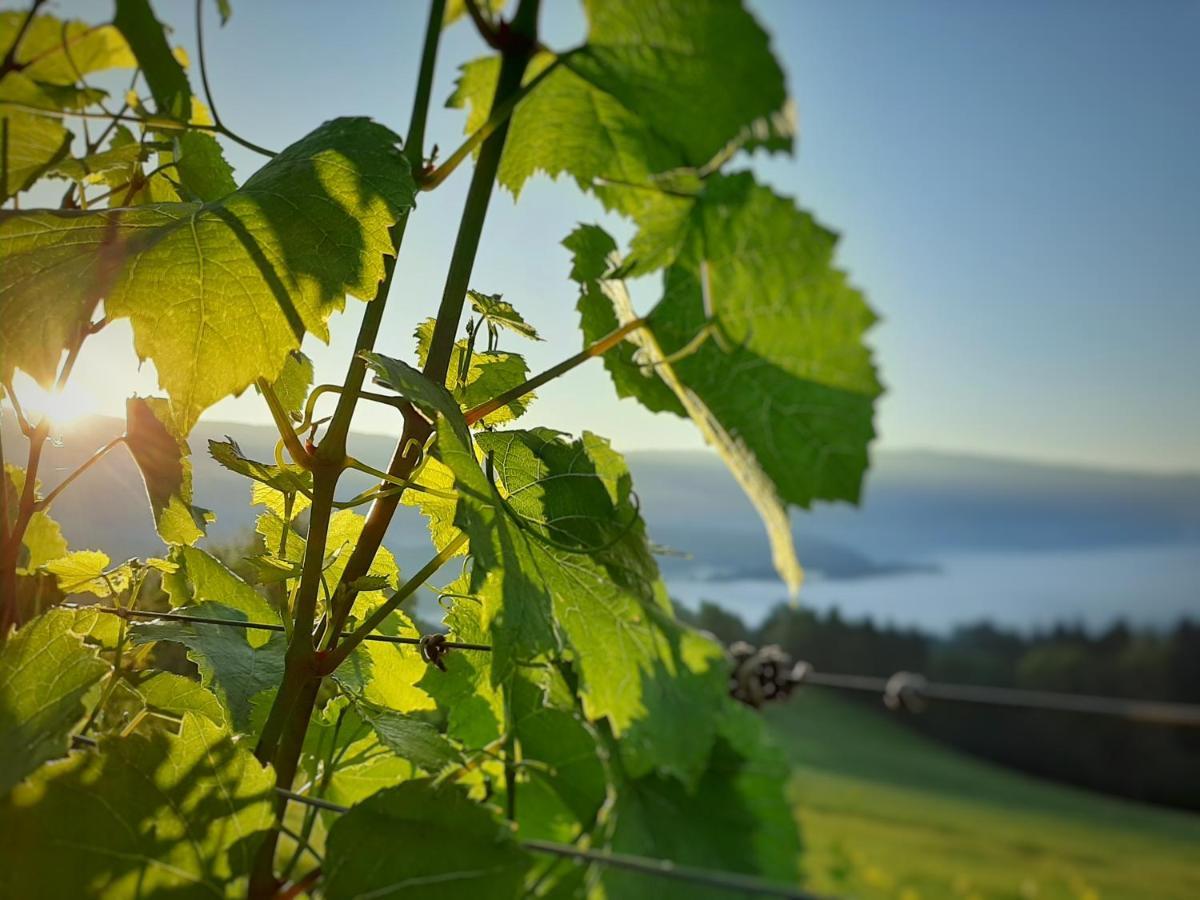 Auszeit Am Weinhof Apartment Loschental Bagian luar foto