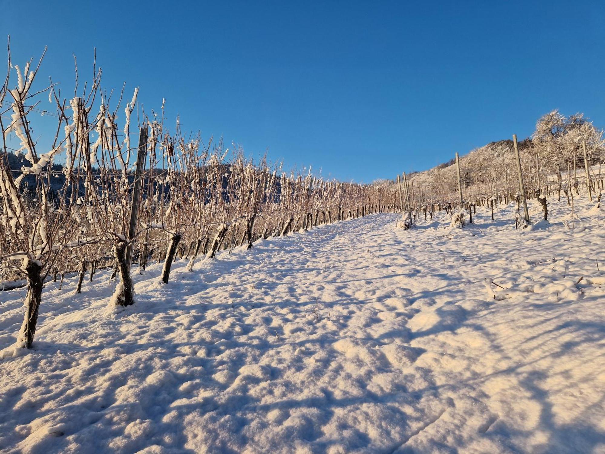 Auszeit Am Weinhof Apartment Loschental Bagian luar foto